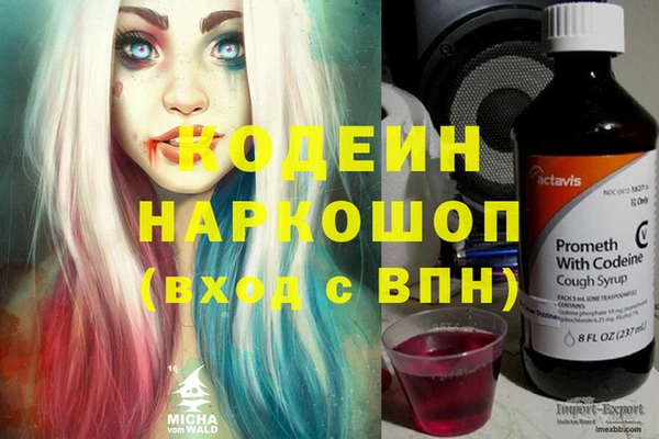 PSILOCYBIN Алзамай