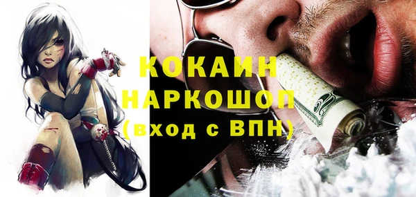 PSILOCYBIN Алзамай