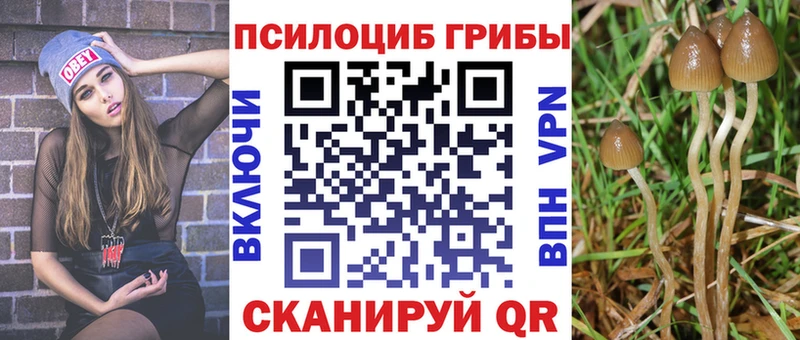 Псилоцибиновые грибы мухоморы  Нижние Серги 